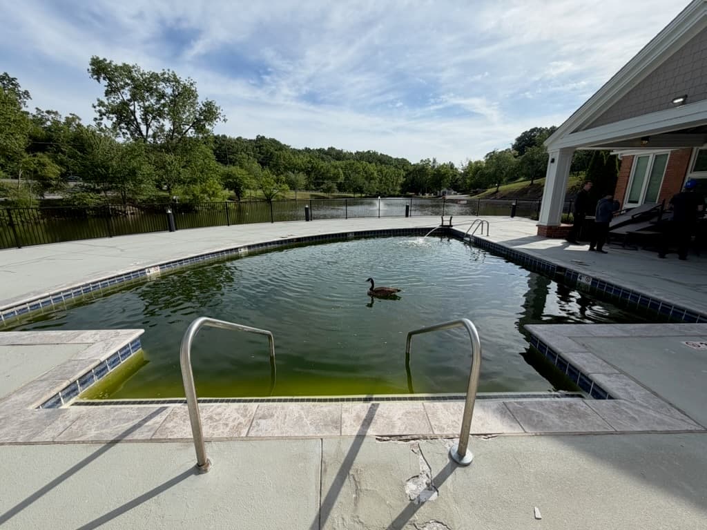 Algae-filled commercial pool before Trident recovery at a Middle Tennessee lakeside community